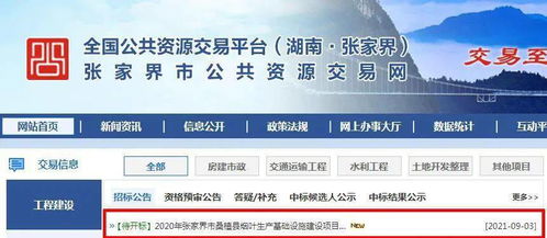 5002469元 張家界這個鎮要建...