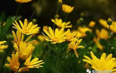 觀點 |一次招標三年沿用,這樣的項目招標代理費該怎么收?