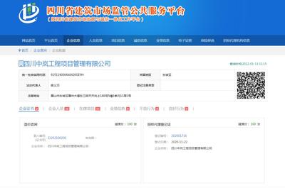 四川中嵐工程項目管理