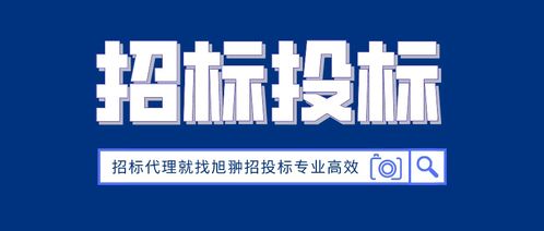甘肅張掖市招投標電子標串通投標方面解答旭翀招投標代理