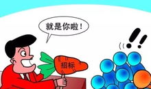 16億元項目,1分錢中標代理招標