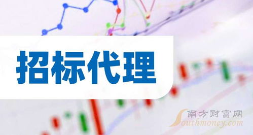 招標代理的龍頭股有哪些 2024 9 30
