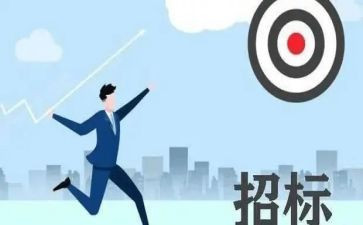 2024年招標(biāo)代理工作的個(gè)人總結(jié)5篇