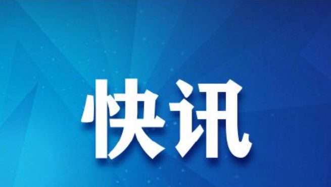 招標代理工作制度及流程